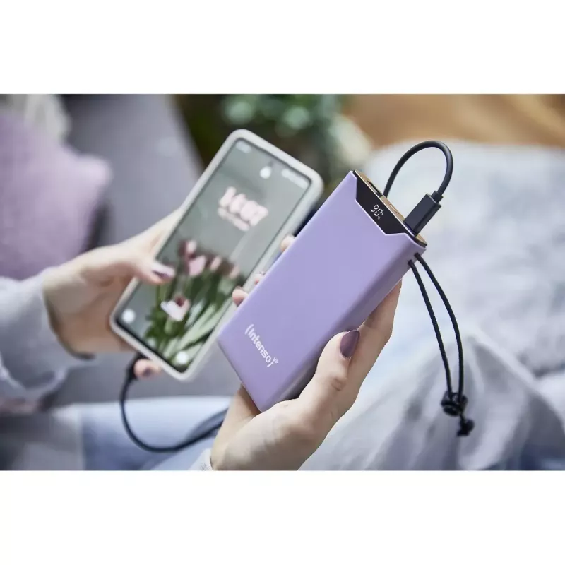 Power Bank Intenso 7332033 10000 mAh