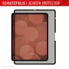 Displex TABLET PRIVACY SAFE removable 2-way privacy filter for iPad Pro 13 inch/Air 13 inch (2024/2025)