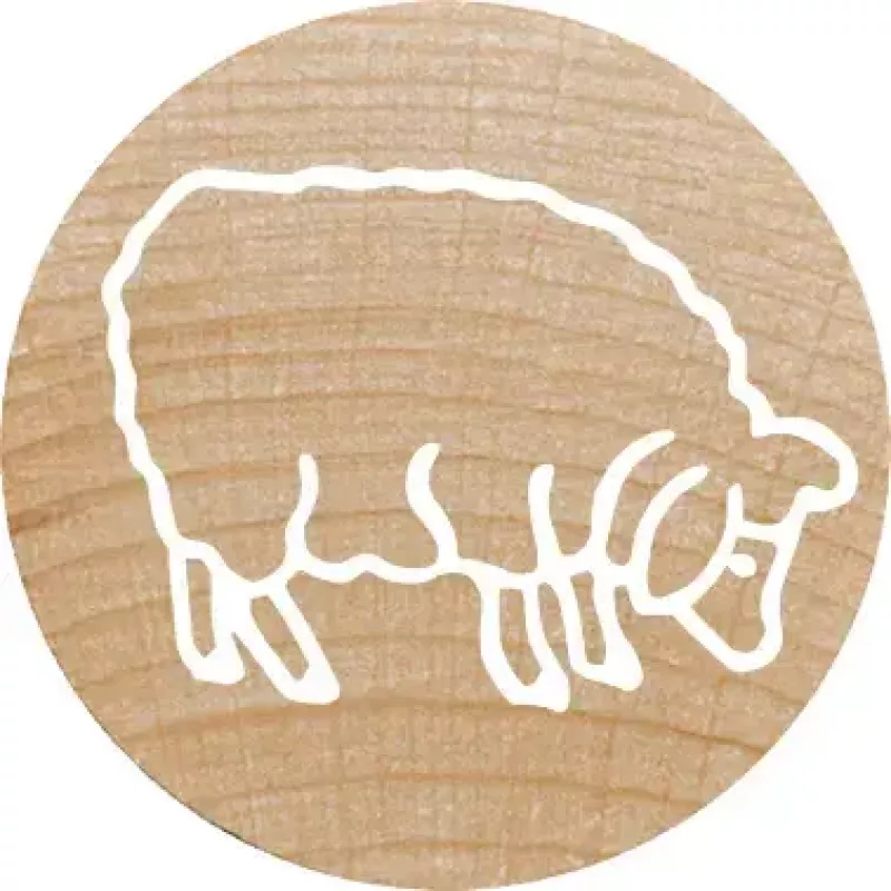 Round Stamp Colop 165225 Rubber Wood 3 cm Diameter
