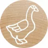 Round Stamp Colop 165225 Rubber Wood 3 cm Diameter
