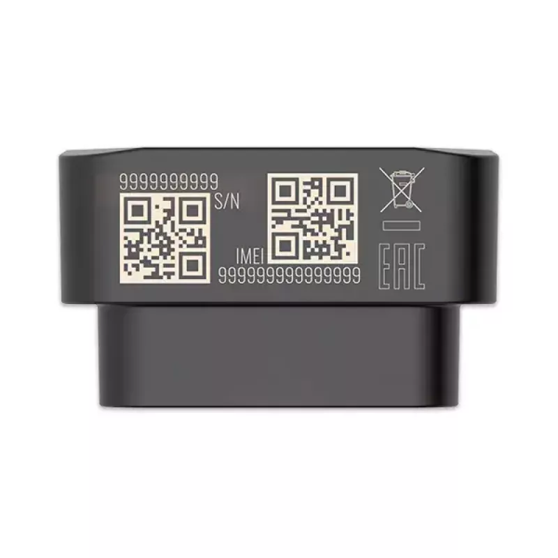 GPS tracker Teltonika FMB020 Car Black Dust resistant 0.128GB