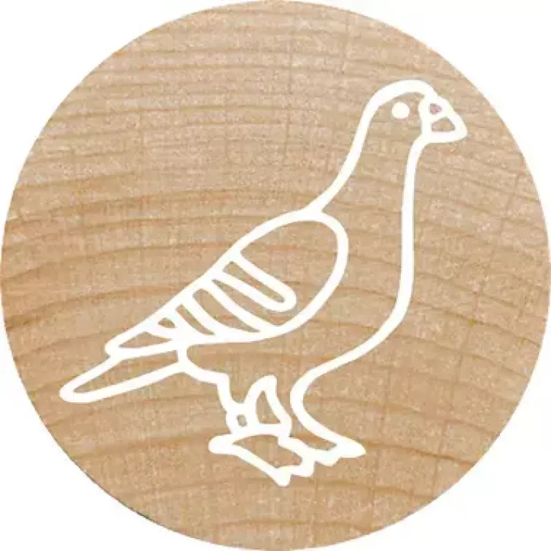 Colop Stamp Colop 165224 Round Rubber Wood 3 cm