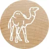 Colop Stamp Colop 165224 Round Rubber Wood 3 cm