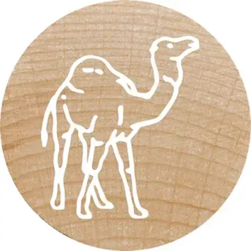 Colop Stamp Colop 165224 Round Rubber Wood 3 cm