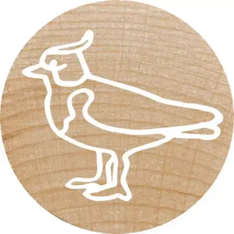 Colop Stamp Colop 165224 Round Rubber Wood 3 cm