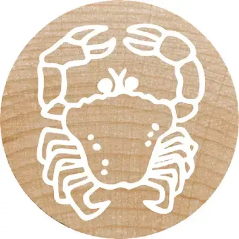 Colop Stamp Colop 165224 Round Rubber Wood 3 cm