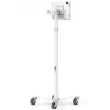 Rolling Cart Enclosure for iPad Pro 13 inch — ram mount Apex Rise Freedom Extended, White, fits M4 & M5, includes 4 keys