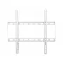 Techly ICA-PLB-162MW TV mount/stand 139.7 cm (55 inch) White