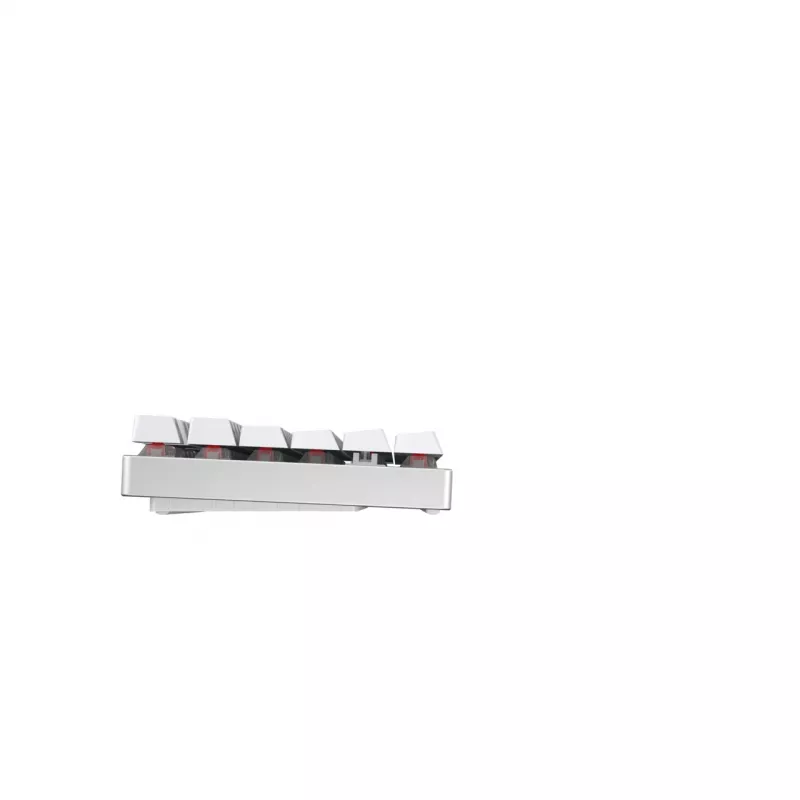 CHERRY MX 8.2 TKL Wireless RGB keyboard Gaming RF Wireless + Bluetooth QWERTZ German White