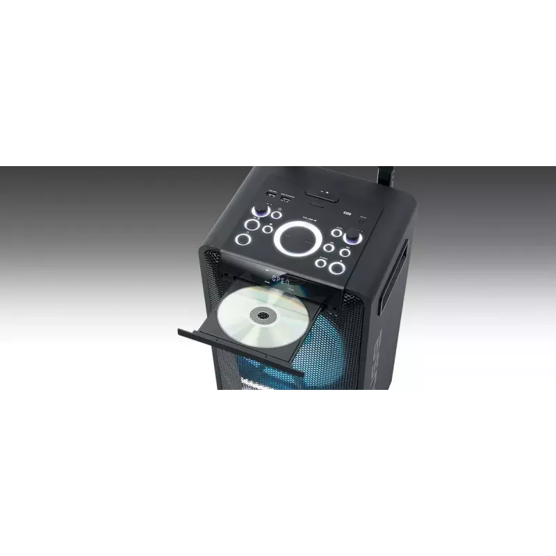 Portable speaker Muse M-1920 DJ — 300 W RMS, AC powered, 3.5 mm input, 256×287×534 mm, 7 kg, black
