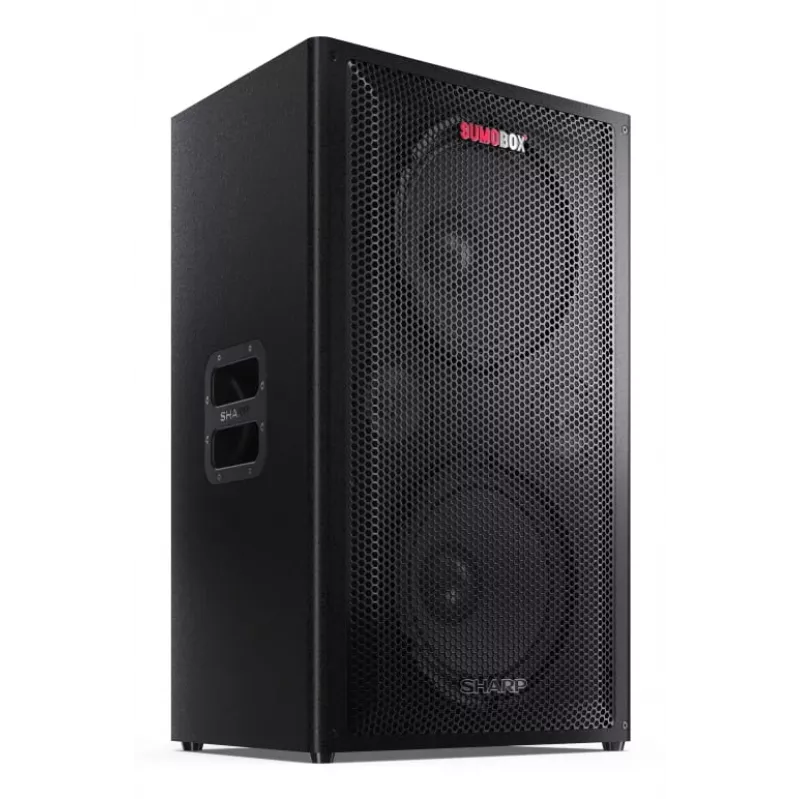 Sharp CP-LS200 portable/party speaker Black 200 W