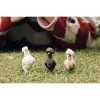 Toy Figures Schleich FARM WORLD Chicken Friends Multicolour 42574