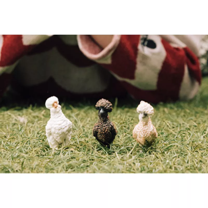Toy Figures Schleich FARM WORLD Chicken Friends Multicolour 42574