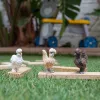 Toy Figures Schleich FARM WORLD Chicken Friends Multicolour 42574