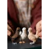 Toy Figures Schleich FARM WORLD Chicken Friends Multicolour 42574