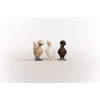 Toy Figures Schleich FARM WORLD Chicken Friends Multicolour 42574