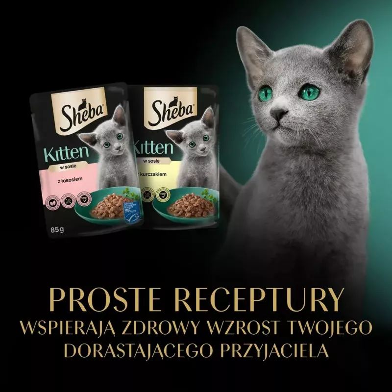 Sheba Kitten Selection of Flavors in Sauce Wet Cat Food, 40 x 85 g