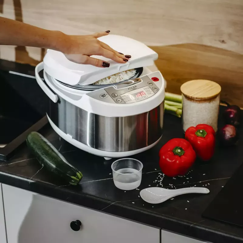 Multicooker Adler AD 6420 — 700 W, 3.25 L capacity, 6 programmable programs, LED display