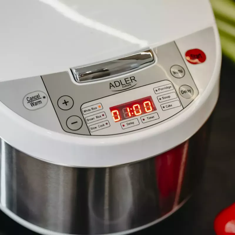 Multicooker Adler AD 6420 — 700 W, 3.25 L capacity, 6 programmable programs, LED display