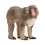 Figure Schleich WILD LIFE Japanese Macaque Beige Brown Pink 14871