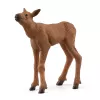 Figure set Schleich WILD LIFE Moose Family — realistic animal figurines, 3+ years, multicolour