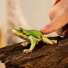 schleich WILD LIFE European Tree Frog, 3 yr(s), Forest, Wild animals / adventure toys, Multicolour