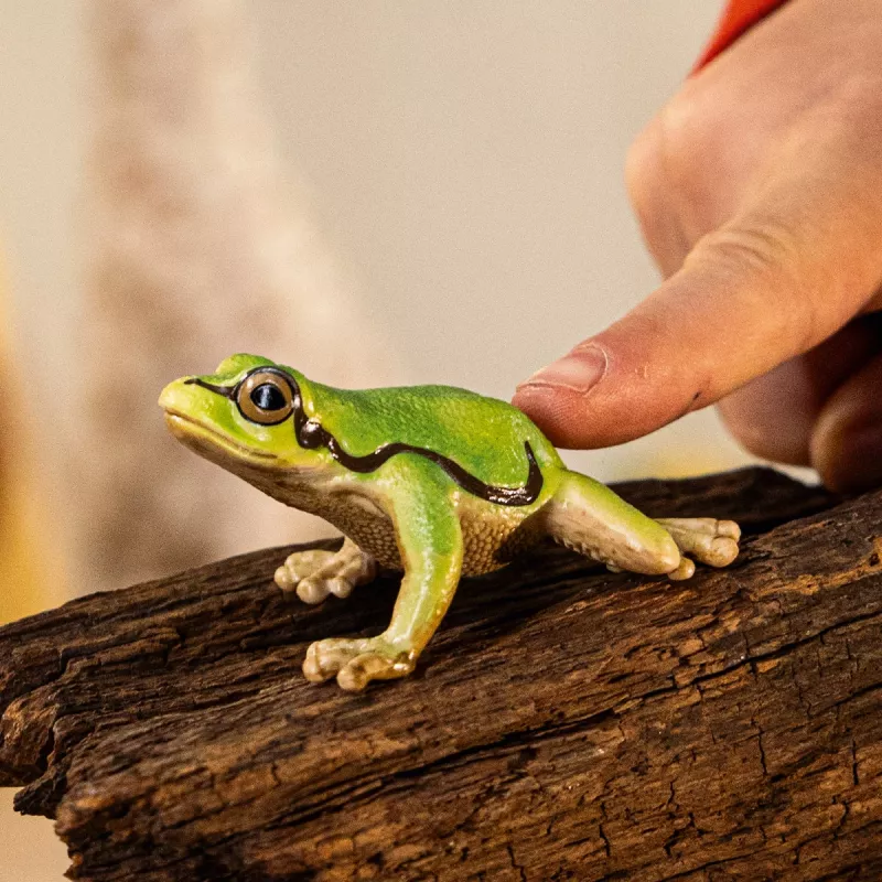 schleich WILD LIFE European Tree Frog, 3 yr(s), Forest, Wild animals / adventure toys, Multicolour