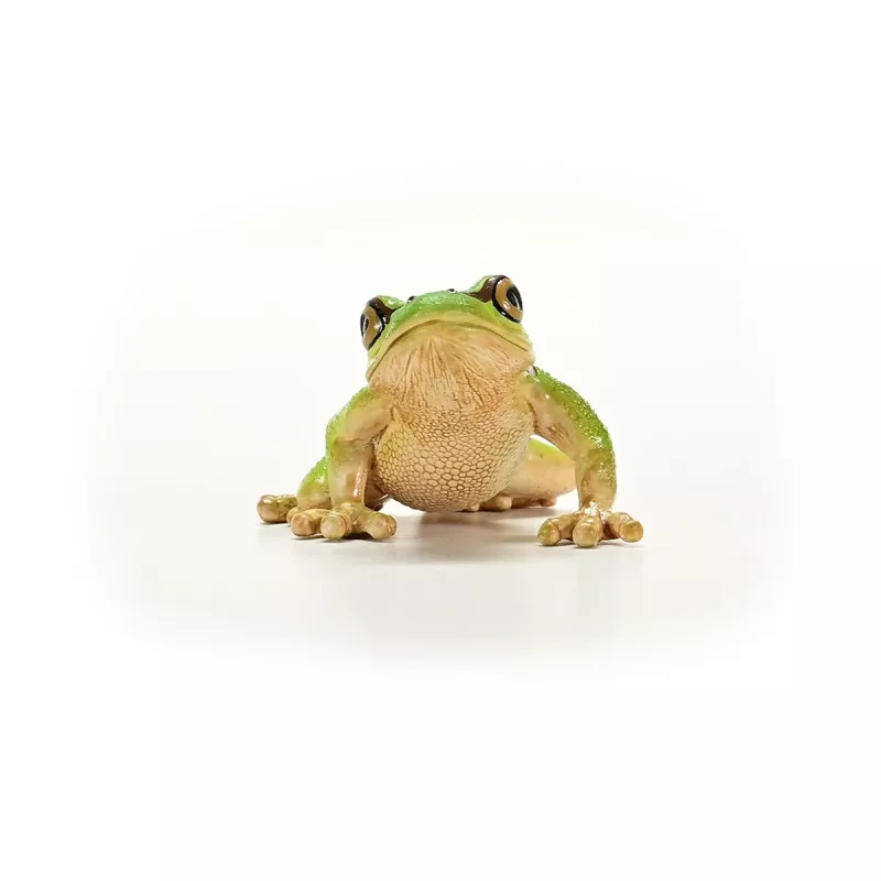 schleich WILD LIFE European Tree Frog, 3 yr(s), Forest, Wild animals / adventure toys, Multicolour