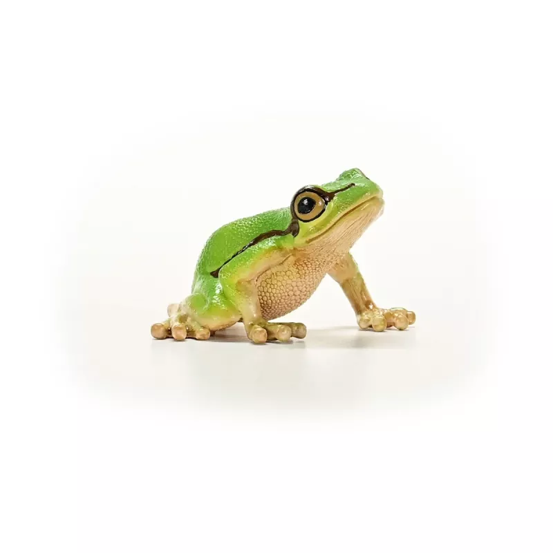 schleich WILD LIFE European Tree Frog, 3 yr(s), Forest, Wild animals / adventure toys, Multicolour