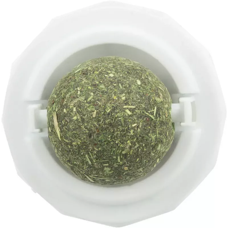 Cat toy Trixie TRIXIE 42242 catnip green white 5 cm, technopolymer, full adhesive back