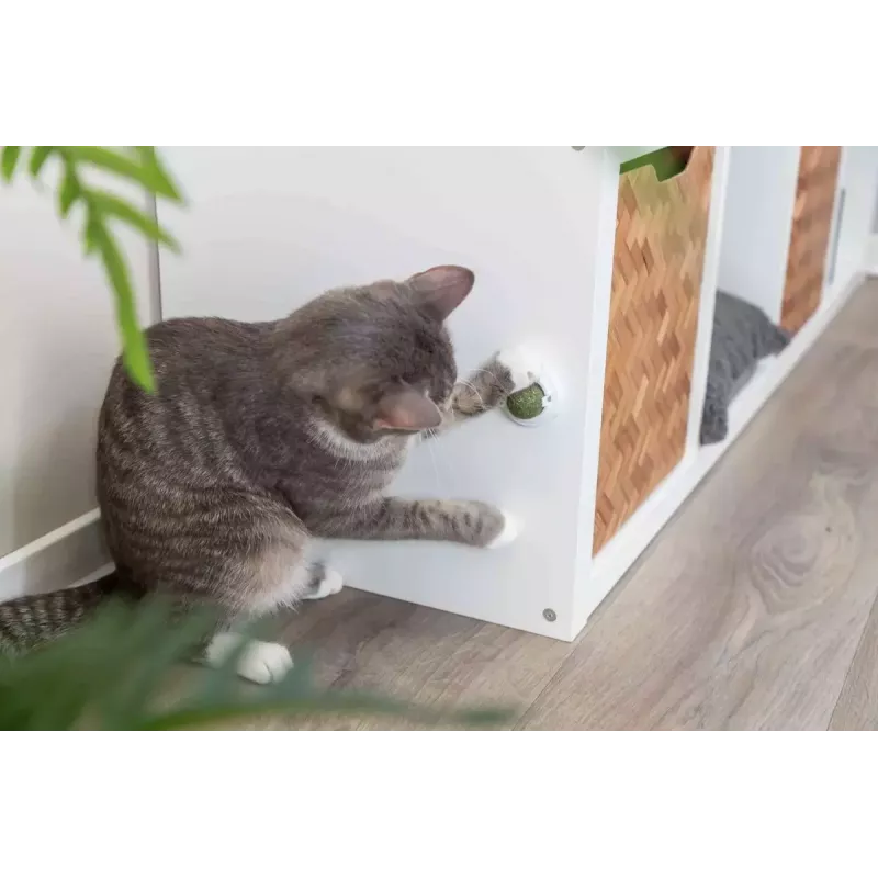 Cat toy Trixie TRIXIE 42242 catnip green white 5 cm, technopolymer, full adhesive back