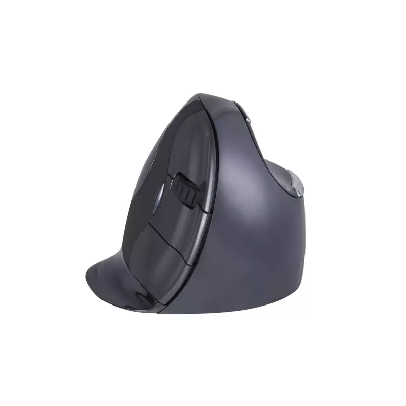 Mouse BakkerElkhuizen Evoluent D RF Wireless