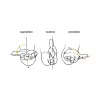 Mouse BakkerElkhuizen Evoluent D RF Wireless