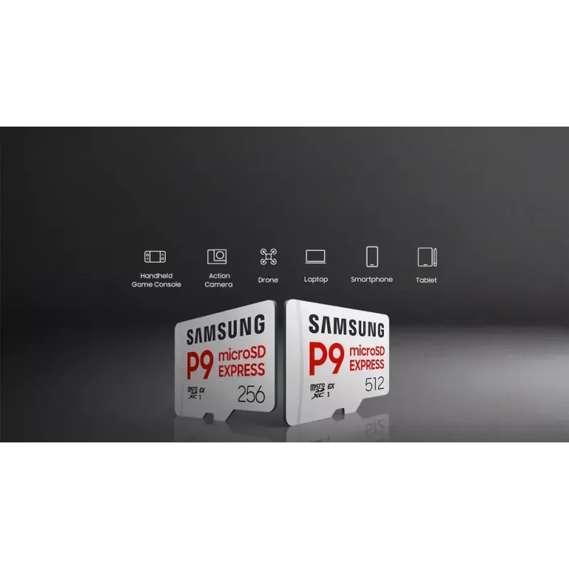 microSDXC memory card Samsung P9 Express 256 GB — UHS-I, read 800 MB/s, V30, U1, durable