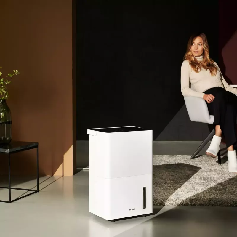 Dehumidifier Duux Bora DXDH30 — for rooms up to 50 m², 4 L water tank, white
