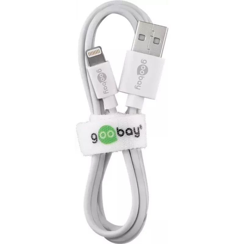 Charger Indoor Wentronic 44979