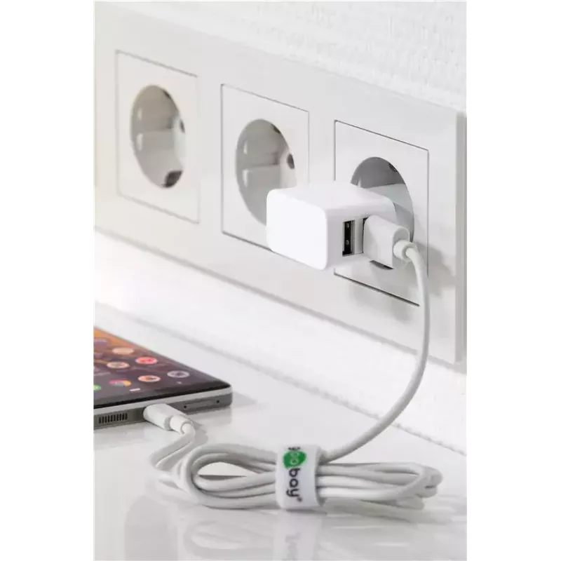 Charger Indoor Wentronic 44979