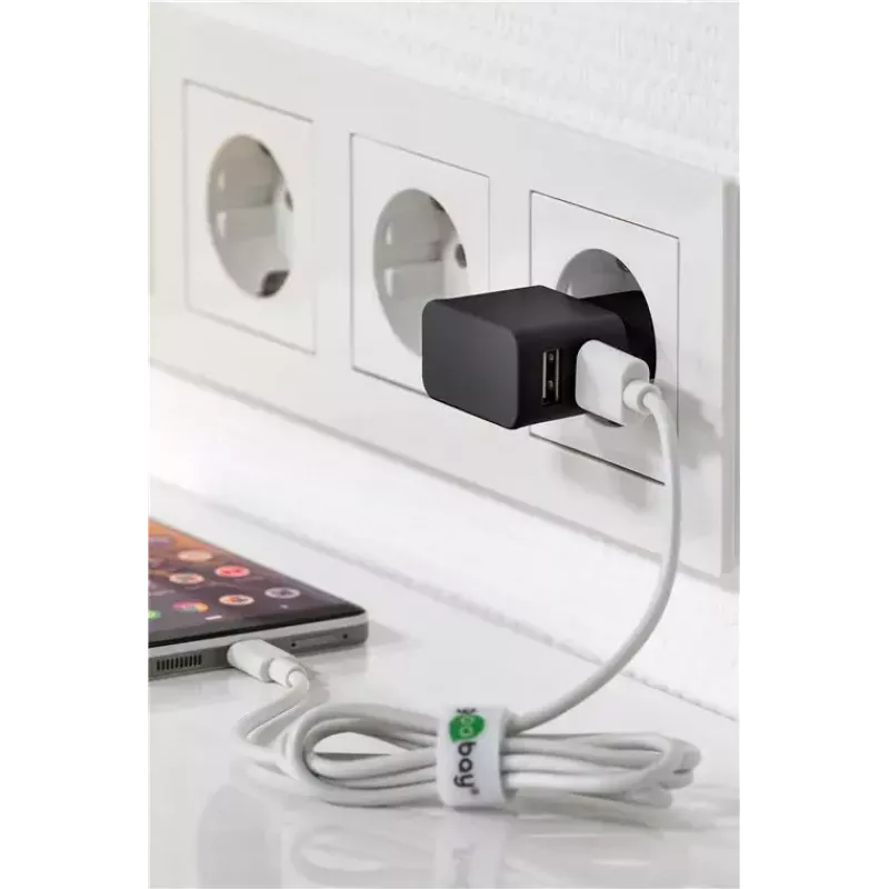 Charger Set Indoor Goobay Dual Apple Lightning 44995