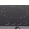 Induction Plate Princess 303011