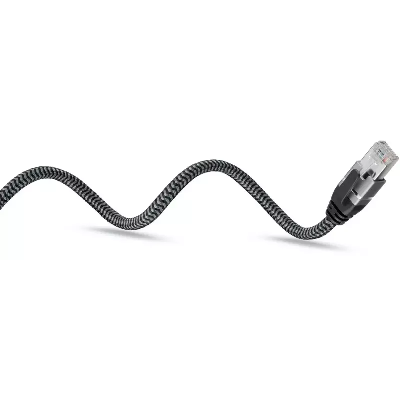 Goobay Gender Changer USB C to RJ-45 10m Black Silver