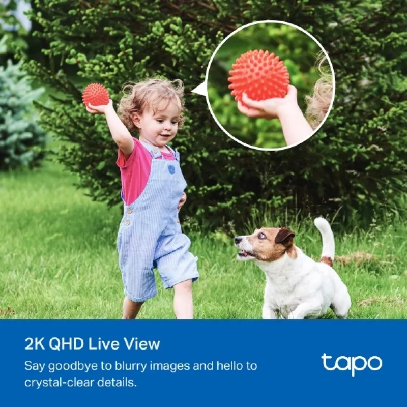 IP Security Camera TP-Link Tapo C425 KIT Wireless Outdoor