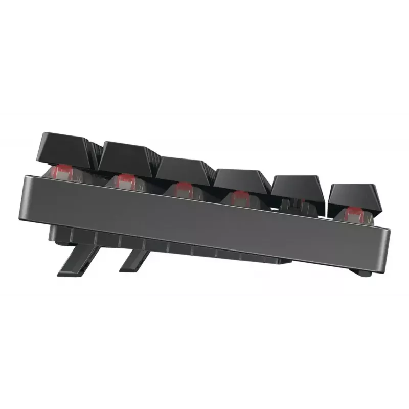 Mechanical Gaming Keyboard CHERRY XTRFY Cherry MX 8.2 TKL Wireless — Tenkeyless, QWERTZ, USB + RF + Bluetooth, RGB, Black