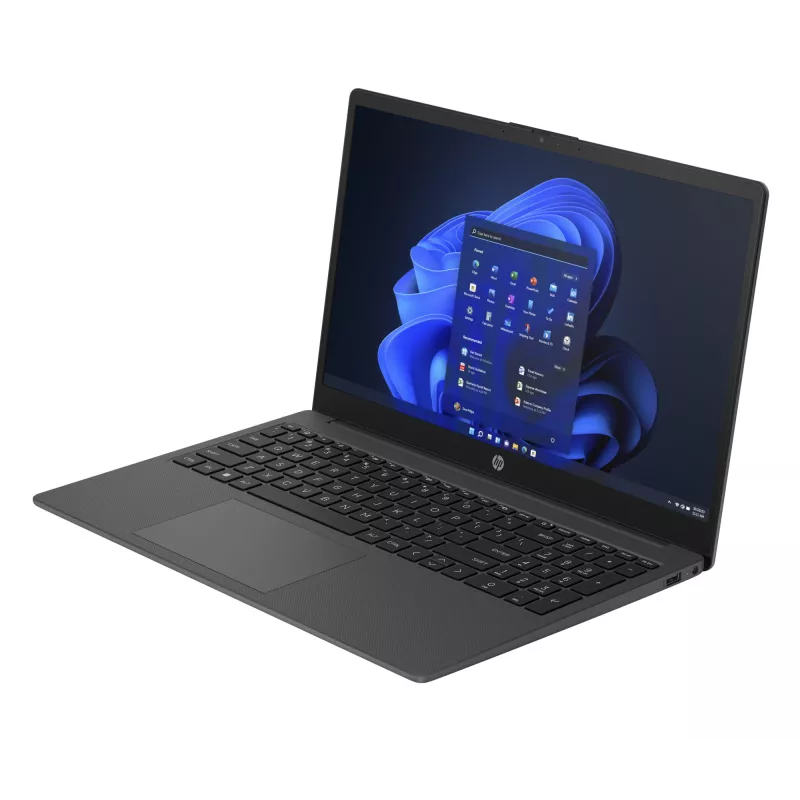 HP 250 G10 Intel® Core™ i5 i5-1334U Laptop 39.6 cm (15.6 inch) Full HD 16 GB DDR4-SDRAM 512 GB SSD Wi-Fi 6 (802.11ax) Windows 11 Home Black, Silver