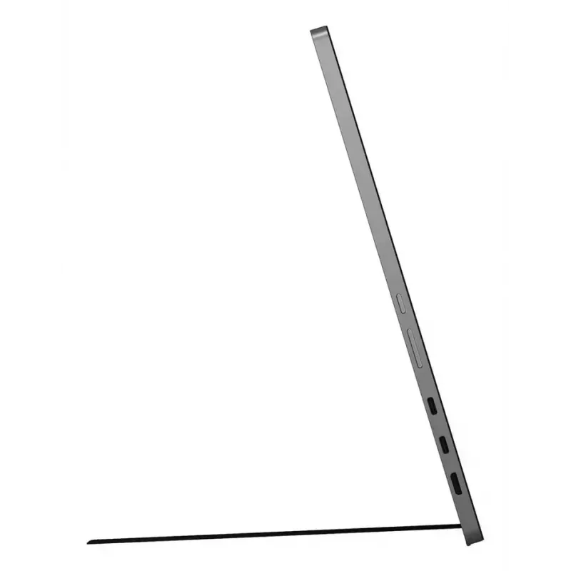 LG 17MT70 Portable monitor Black, Stainless steel 43.2 cm (17 inch) LED 2560 x 1600 pixels