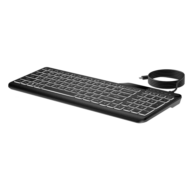 HP 400 Backlit Wired Keyboard Full-size USB Black