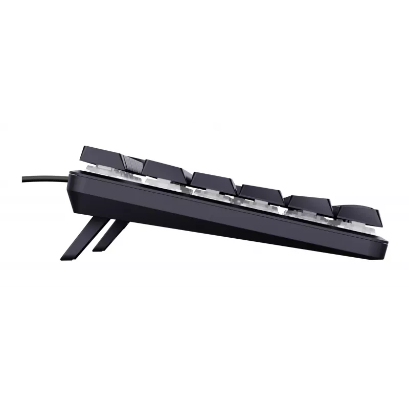Mechanical Gaming Keyboard TRUST GXT 866 TORIX USB Full-size 104-key QWERTY Black RGB
