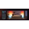 Floor lamp Govee Matter RGBICW H8076C13 — smart LED lighting with RGBIC and tunable white