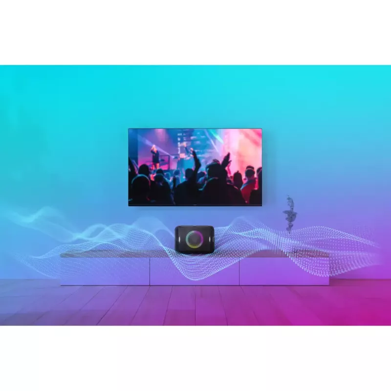 Stereo Portable Speaker Panasonic SC-BMAX5E-K Black