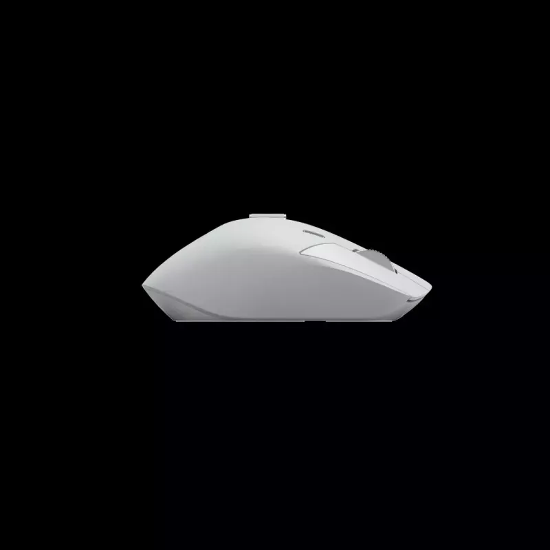 Mouse Rapoo MT760M RF Wireless + Bluetooth