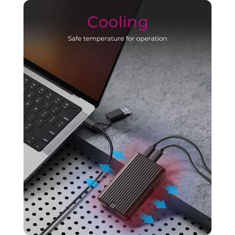 ICY BOX IB-CR601M-C31 SSD enclosure Black M.2